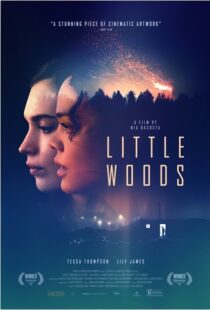 دانلود فیلم Little Woods 201822292-1695820762