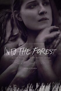 دانلود فیلم Into the Forest 20159776-336981638