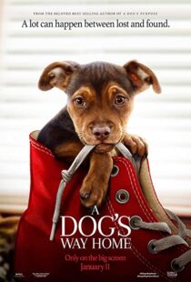 دانلود فیلم A Dog’s Way Home 20198110-426867466