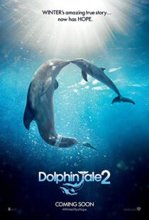 دانلود فیلم Dolphin Tale 2 201421312-953201910