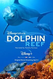 دانلود مستند Dolphin Reef 201838724-740358636