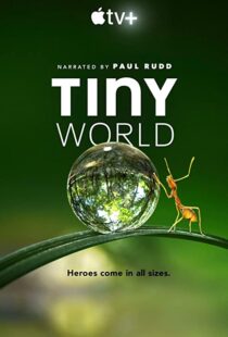 دانلود مستند Tiny World52124-1692260120