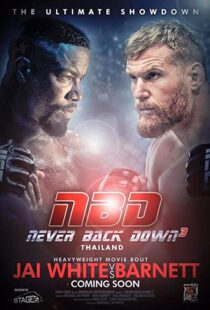 دانلود فیلم Never Back Down: No Surrender 201683731-1149866846