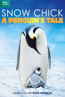 دانلود مستند Snow Chick: A Penguin’s Tale 2015109604-1378032