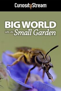 دانلود مستند Big World in a Small Garden 2016102965-1391223010