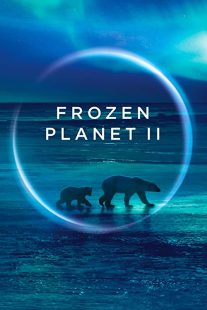 دانلود مستند Frozen Planet II268784-2126981072