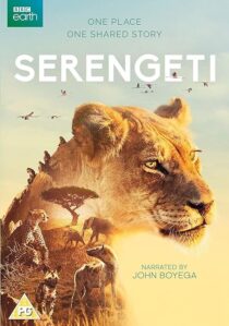 دانلود سریال Serengeti378761-1000049127