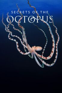 دانلود سریال Secrets of the Octopus401286-1143357637