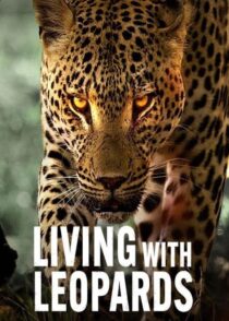 دانلود مستند Living with Leopards 2024400477-875262489