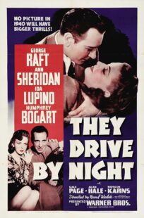 دانلود فیلم They Drive by Night 1940411221-1250781356