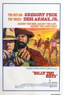 دانلود فیلم Billy Two Hats 1974411057-905062670