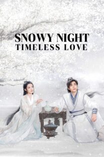 دانلود سریال Snowy Night Timeless Love417168-1411896814