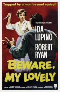 دانلود فیلم Beware, My Lovely 1952420627-955025609