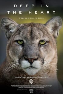 دانلود مستند Deep in the Heart: A Texas Wildlife Story 2022421545-1476290898