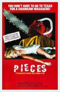 دانلود فیلم Pieces 1982422164-821963376