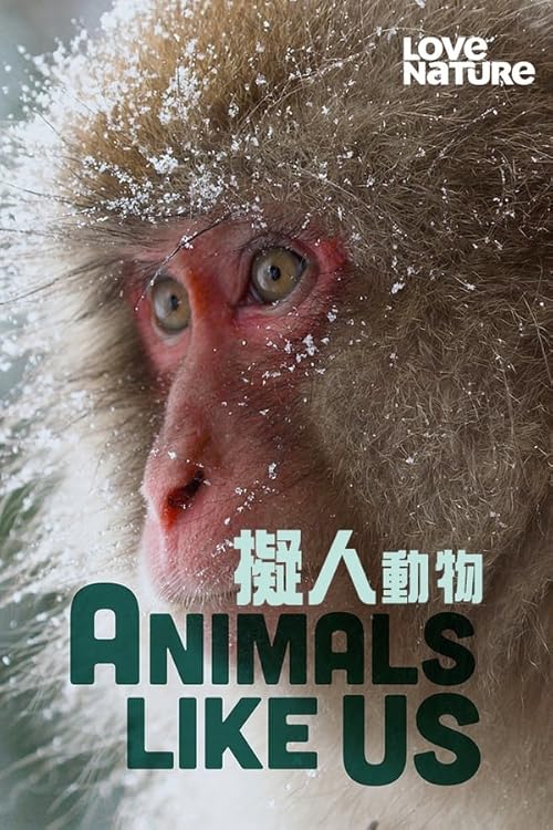 دانلود مستند Animals Like Us