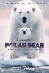 دانلود مستند Polar Bear 2022422974-1937879156